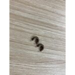 Bạc Ép Sấy Máy In Canon 2900 Dùng Chung HP 1020 (1 Cặp 2 Cái) Hàng Tháo Máy – Có Hướng Dẫn Lắp Đặt