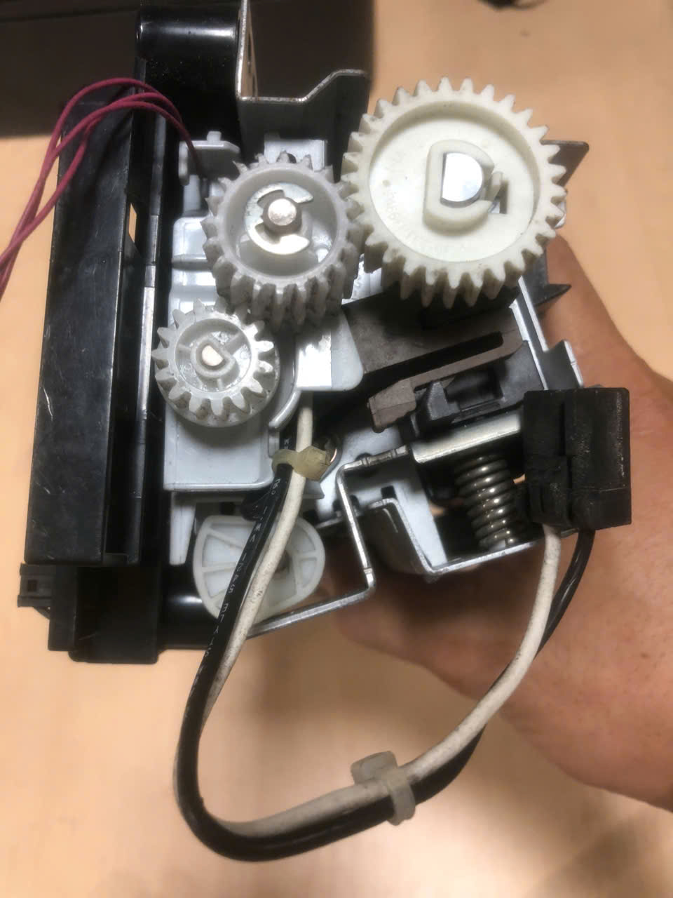 z7069869424830_410e54d76bd15fc553019a9826004234